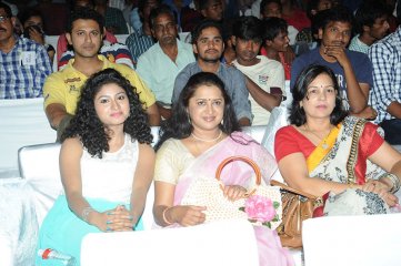 Pyaar Mein Padipoyane Audio Launch